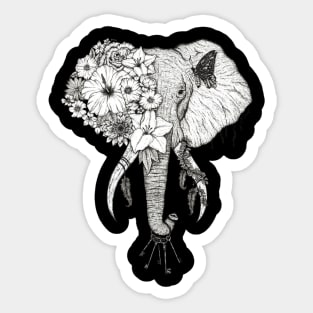 Elephant Black Background Sticker